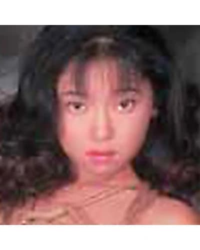 Shinobu Hosokawa profile photo — AV Idols