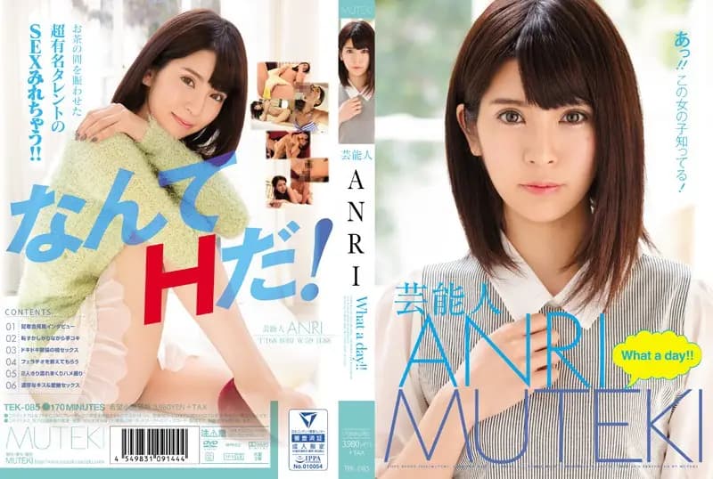 Celebrity ANRI: What A Day! cover art